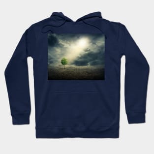 Earth Hoodie